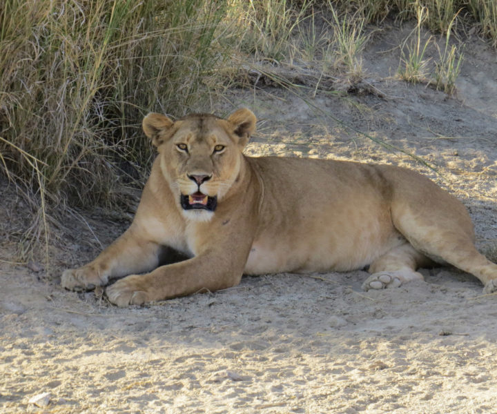 7 Days Culture & Walking Safari