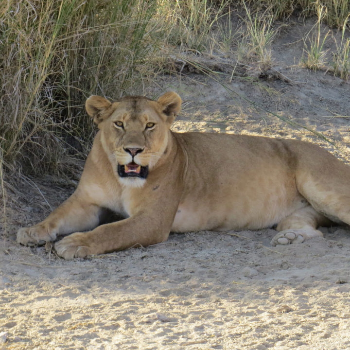 7 Days Culture & Walking Safari